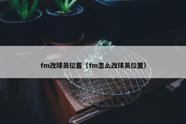 fm改球员位置（fm怎么改球员位置）