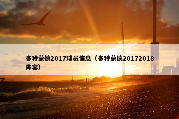 多特蒙德2017球员信息（多特蒙德20172018阵容）