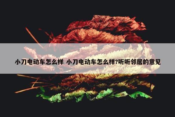 小刀电动车怎么样 小刀电动车怎么样?听听邻居的意见