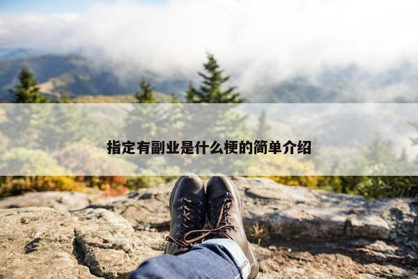 指定有副业是什么梗的简单介绍