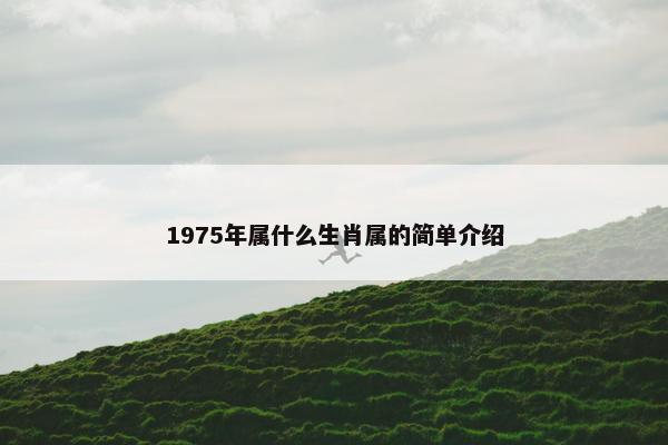 1975年属什么生肖属的简单介绍