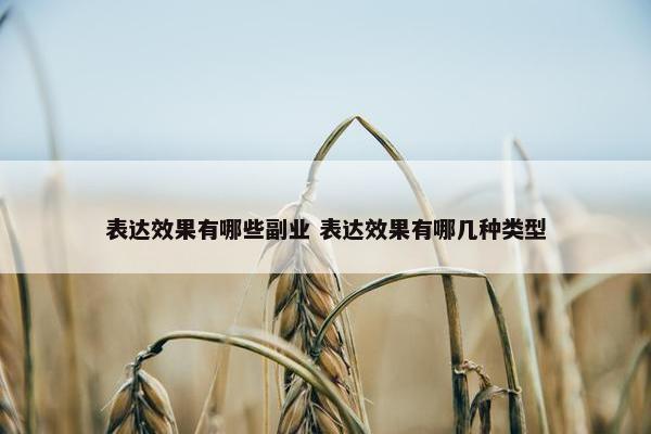 表达效果有哪些副业 表达效果有哪几种类型