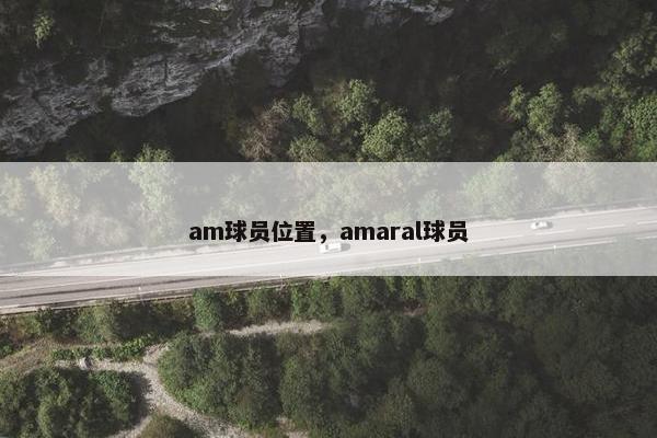 am球员位置，amaral球员