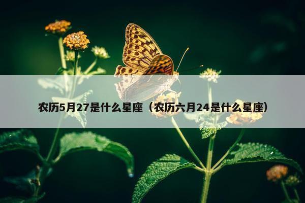 农历5月27是什么星座（农历六月24是什么星座）