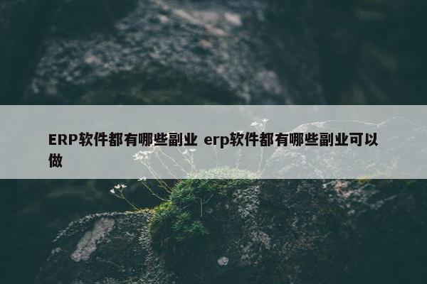 ERP软件都有哪些副业 erp软件都有哪些副业可以做