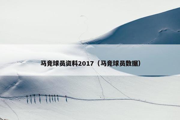 马竞球员资料2017（马竞球员数据）