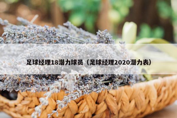 足球经理18潜力球员（足球经理2020潜力表）