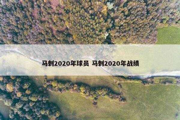 马刺2020年球员 马刺2020年战绩