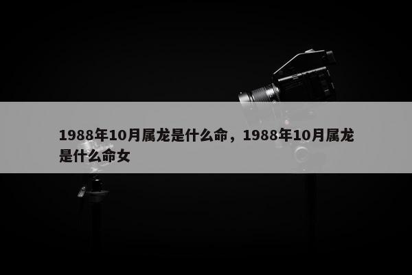 1988年10月属龙是什么命，1988年10月属龙是什么命女