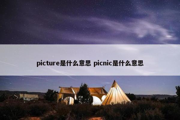 picture是什么意思 picnic是什么意思