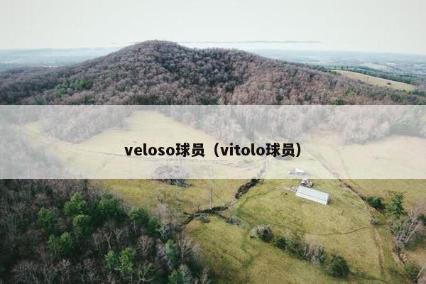 veloso球员（vitolo球员）