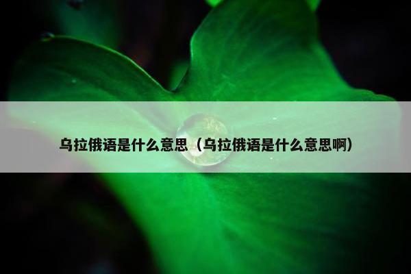 乌拉俄语是什么意思（乌拉俄语是什么意思啊）