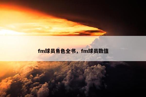 fm球员角色全书，fm球员数值