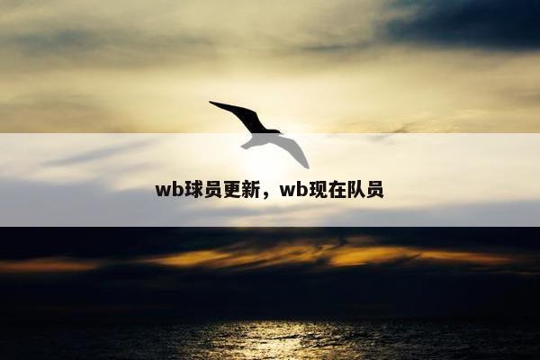 wb球员更新，wb现在队员