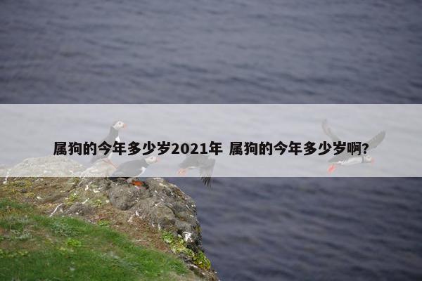 属狗的今年多少岁2021年 属狗的今年多少岁啊?