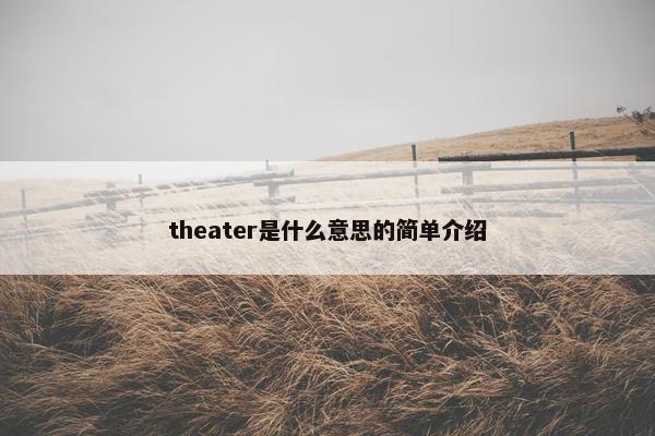 theater是什么意思的简单介绍