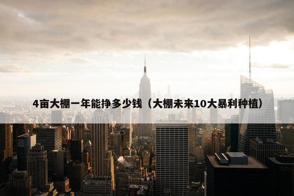 4亩大棚一年能挣多少钱（大棚未来10大暴利种植）