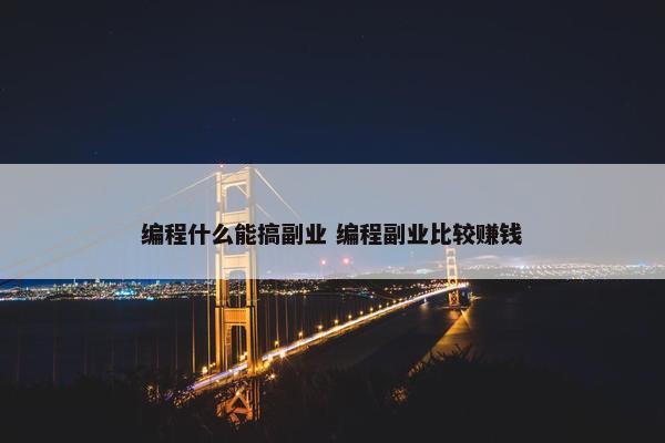 编程什么能搞副业 编程副业比较赚钱