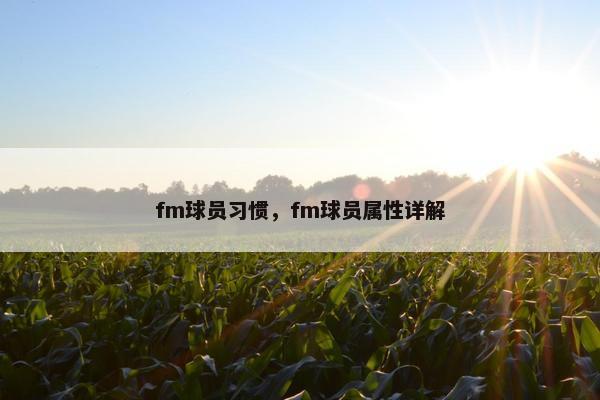 fm球员习惯，fm球员属性详解