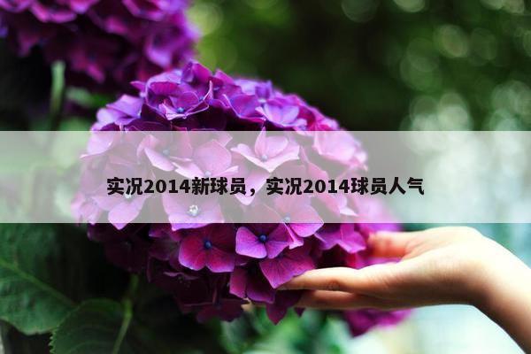 实况2014新球员，实况2014球员人气