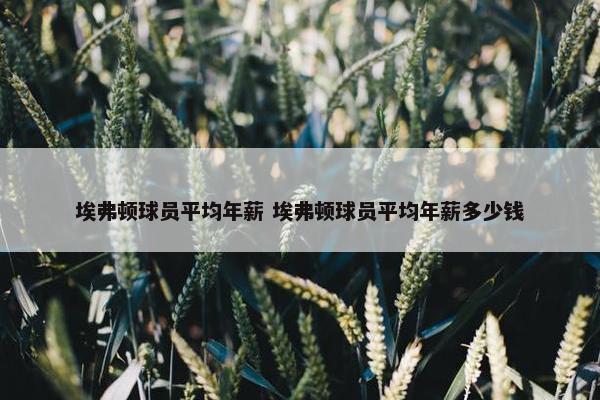 埃弗顿球员平均年薪 埃弗顿球员平均年薪多少钱