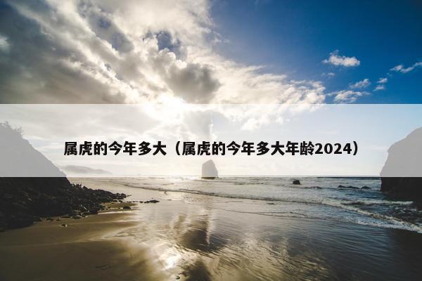 属虎的今年多大（属虎的今年多大年龄2024）