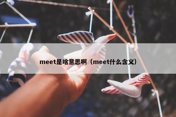 meet是啥意思啊（meet什么含义）