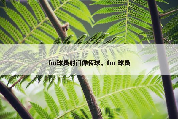 fm球员射门像传球，fm 球员