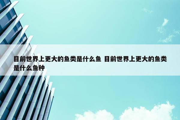 目前世界上更大的鱼类是什么鱼 目前世界上更大的鱼类是什么鱼种