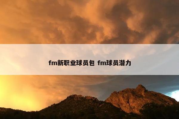 fm新职业球员包 fm球员潜力