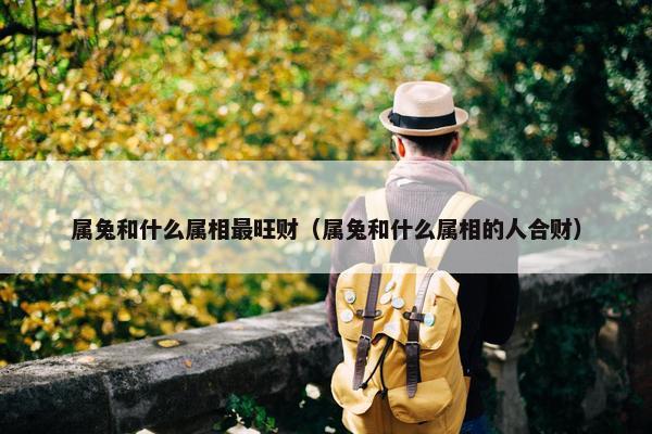 属兔和什么属相最旺财（属兔和什么属相的人合财）