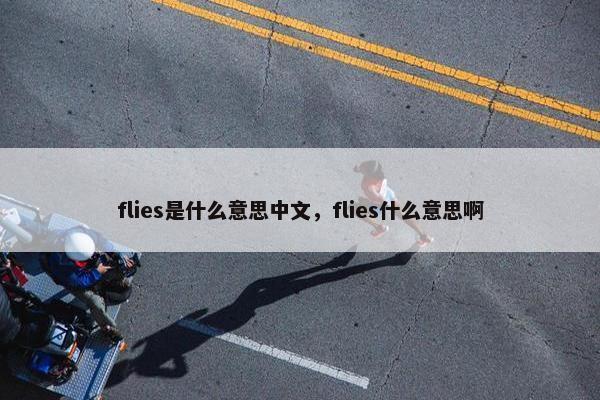 flies是什么意思中文，flies什么意思啊