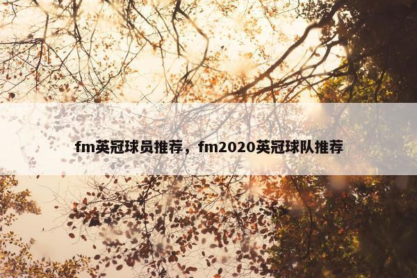 fm英冠球员推荐，fm2020英冠球队推荐