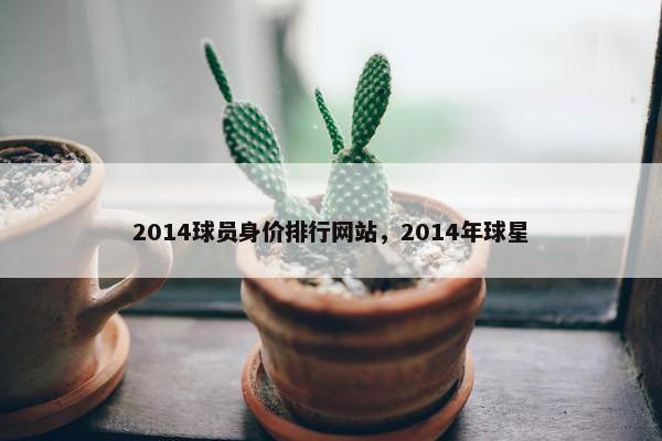 2014球员身价排行网站，2014年球星