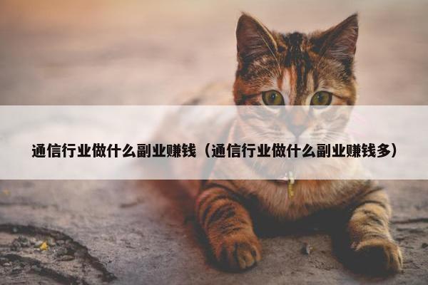 通信行业做什么副业赚钱（通信行业做什么副业赚钱多）