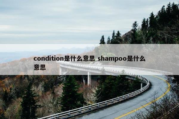 condition是什么意思 shampoo是什么意思