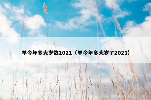 羊今年多大岁数2021（羊今年多大岁了2021）