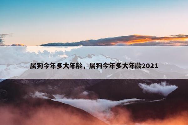 属狗今年多大年龄，属狗今年多大年龄2021