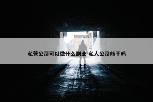 私营公司可以做什么副业 私人公司能干吗