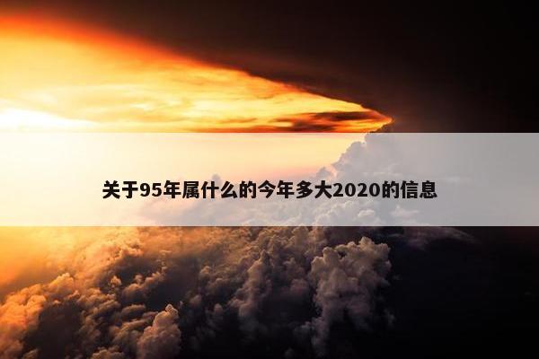 关于95年属什么的今年多大2020的信息