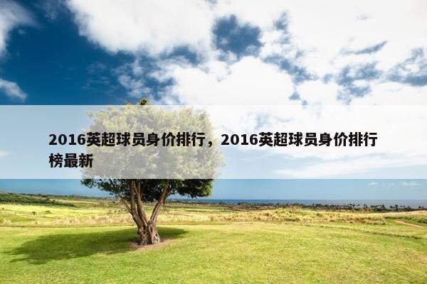 2016英超球员身价排行，2016英超球员身价排行榜最新