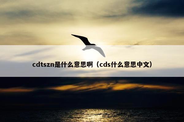 cdtszn是什么意思啊（cds什么意思中文）