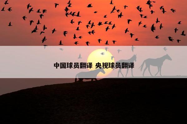 中国球员翻译 央视球员翻译