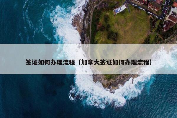 签证如何办理流程（加拿大签证如何办理流程）