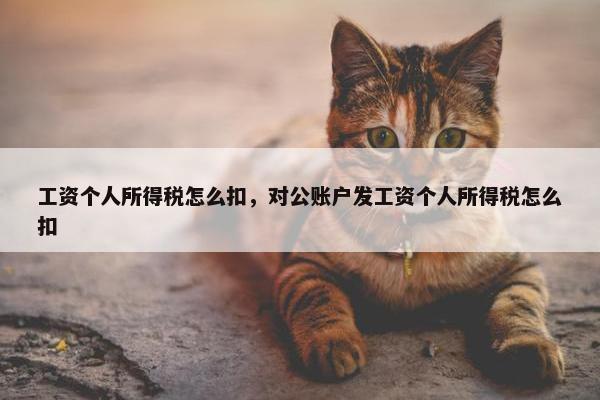 工资个人所得税怎么扣，对公账户发工资个人所得税怎么扣