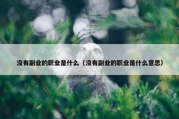 没有副业的职业是什么（没有副业的职业是什么意思）