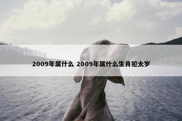 2009年属什么 2009年属什么生肖犯太岁