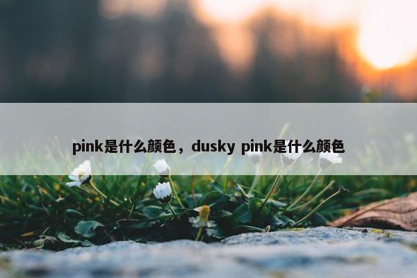 pink是什么颜色，dusky pink是什么颜色
