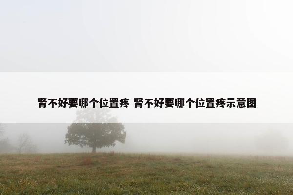 肾不好要哪个位置疼 肾不好要哪个位置疼示意图