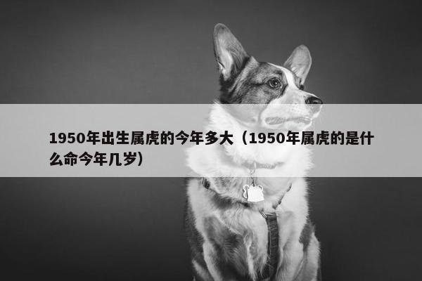 1950年出生属虎的今年多大（1950年属虎的是什么命今年几岁）